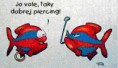 /album/vtipne-fotografije/ryby-rozhovor-piercing-jpg/